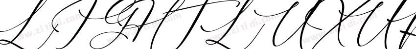 LIGHT LUXURY字体转换
